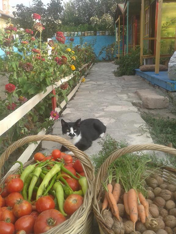 דירות אוצ'יסר Garden Of Cappadocia מראה חיצוני תמונה