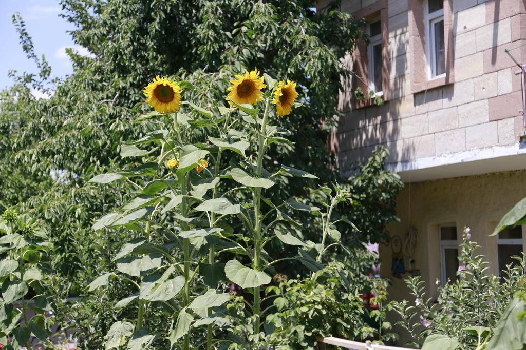 דירות אוצ'יסר Garden Of Cappadocia מראה חיצוני תמונה